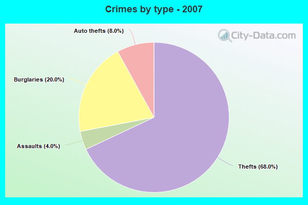 Crimes by type - 2007