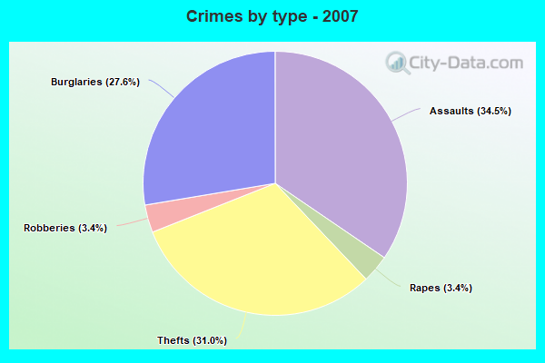 Crimes by type - 2007