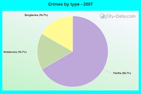 Crimes by type - 2007