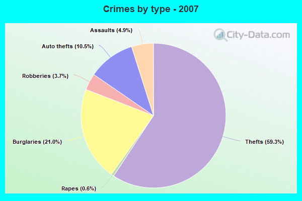 Crimes by type - 2007