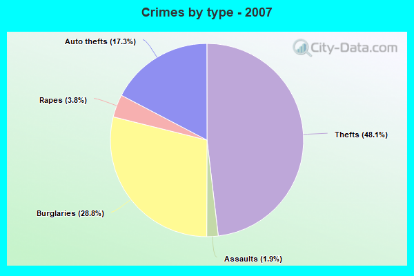 Crimes by type - 2007