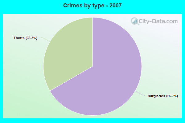 Crimes by type - 2007