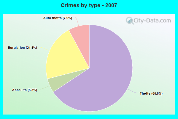 Crimes by type - 2007