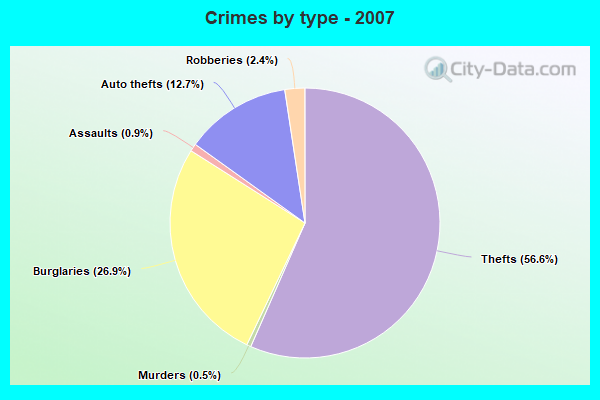 Crimes by type - 2007