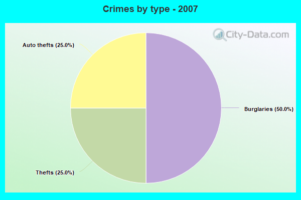 Crimes by type - 2007