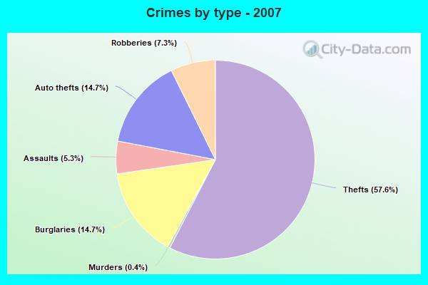 Crimes by type - 2007