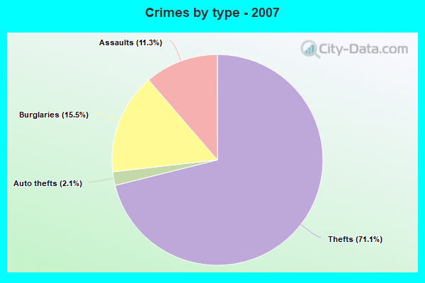 Crimes by type - 2007