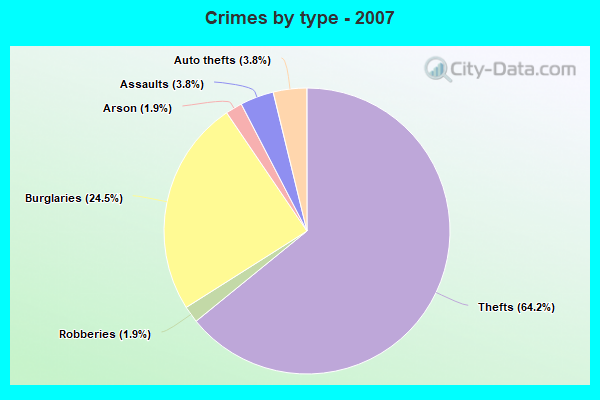 Crimes by type - 2007