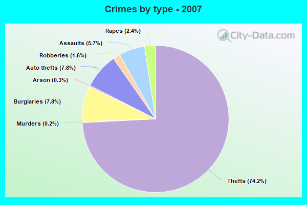 Crimes by type - 2007