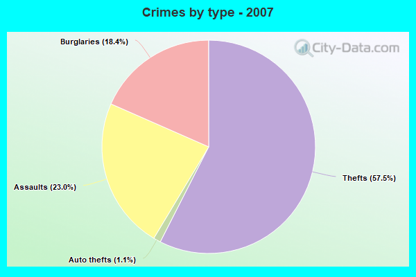 Crimes by type - 2007