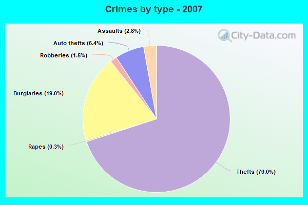 Crimes by type - 2007