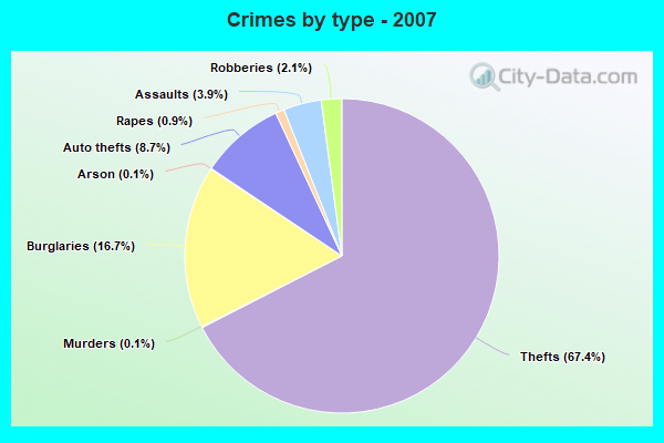 Crimes by type - 2007