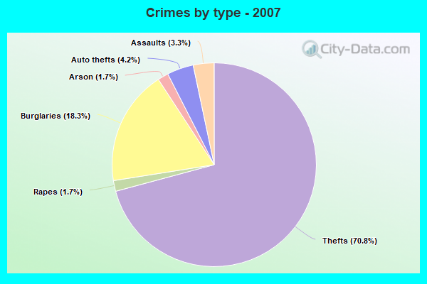 Crimes by type - 2007