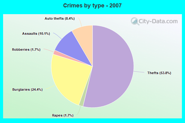 Crimes by type - 2007