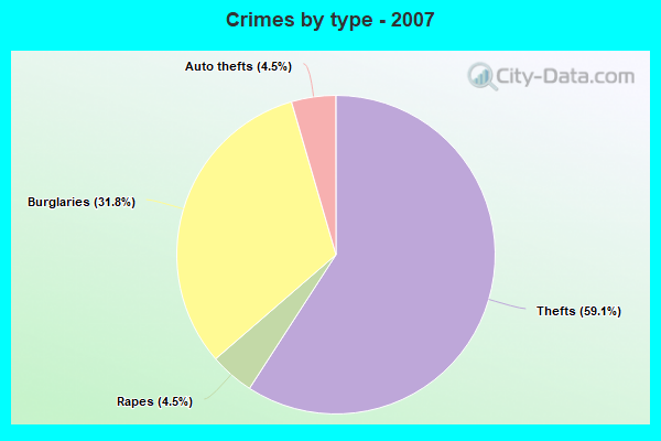 Crimes by type - 2007