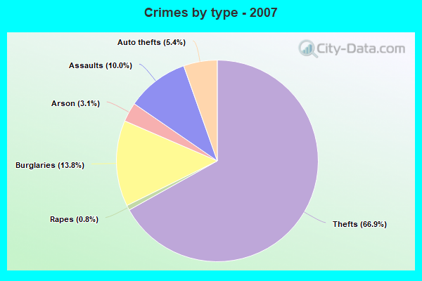 Crimes by type - 2007