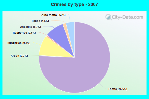 Crimes by type - 2007