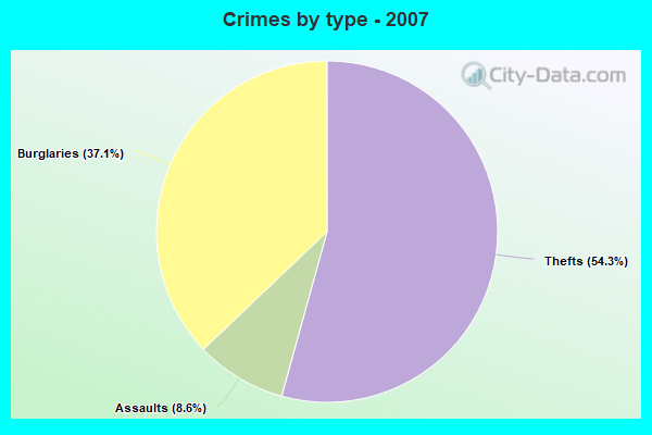 Crimes by type - 2007