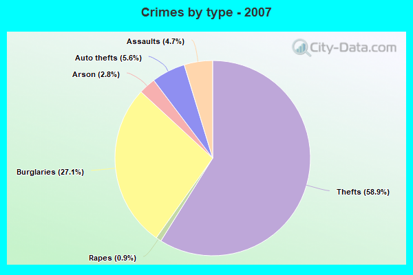 Crimes by type - 2007