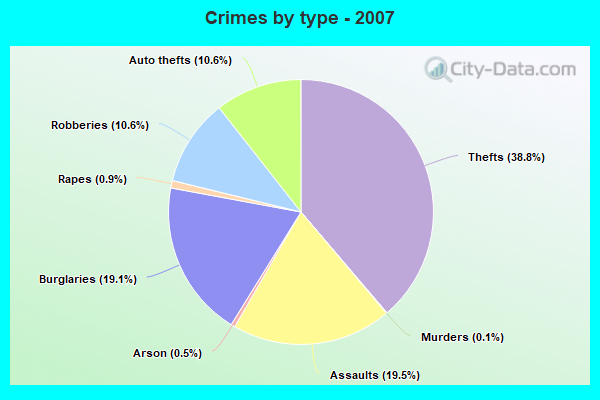 Crimes by type - 2007