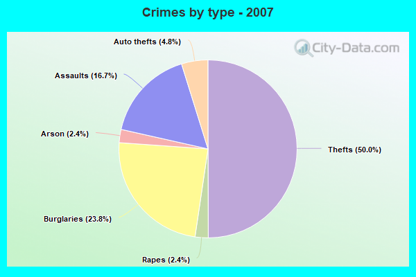 Crimes by type - 2007