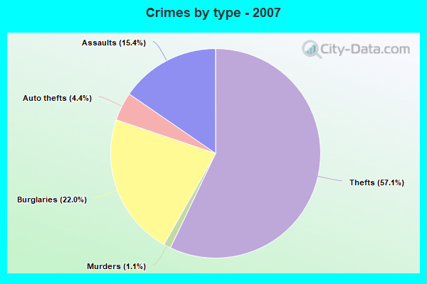 Crimes by type - 2007