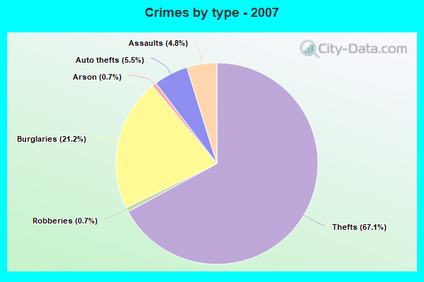 Crimes by type - 2007