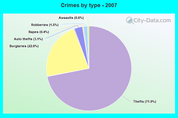 Crimes by type - 2007