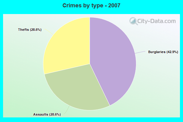 Crimes by type - 2007