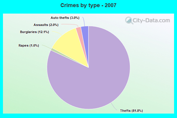 Crimes by type - 2007