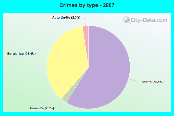 Crimes by type - 2007