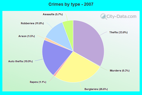 Crimes by type - 2007