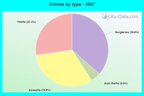 Crimes by type - 2007