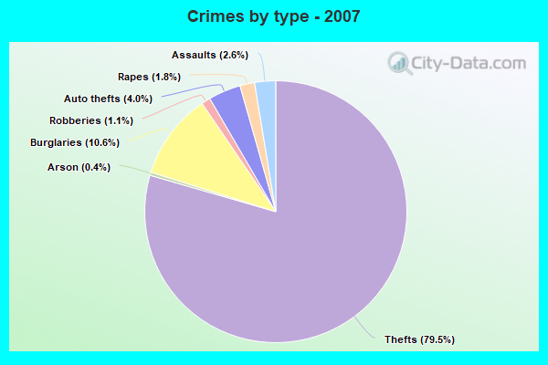 Crimes by type - 2007