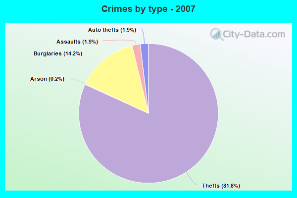 Crimes by type - 2007