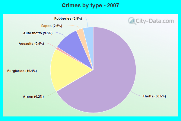 Crimes by type - 2007