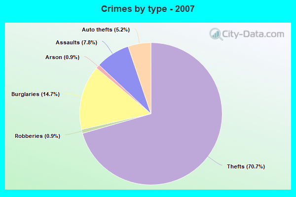 Crimes by type - 2007