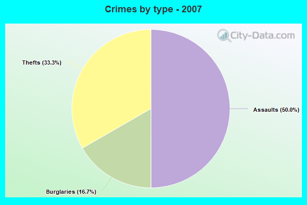 Crimes by type - 2007