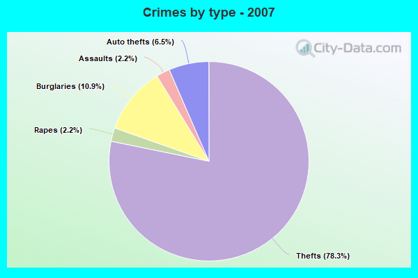 Crimes by type - 2007