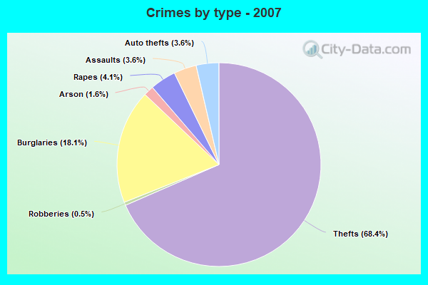 Crimes by type - 2007