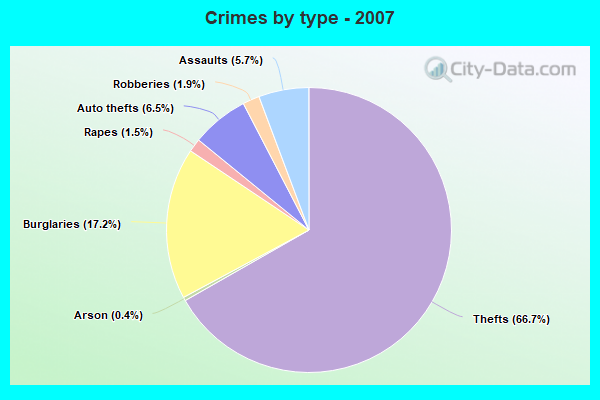 Crimes by type - 2007