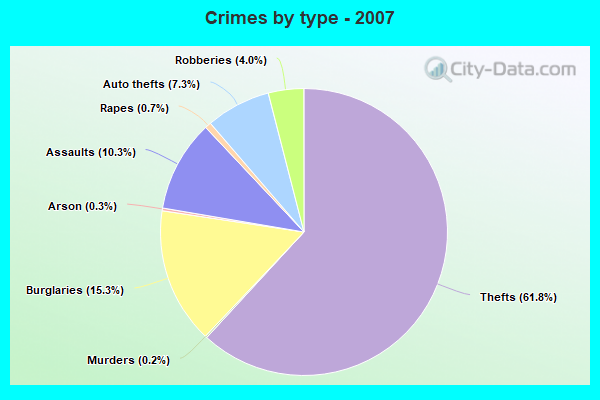 Crimes by type - 2007