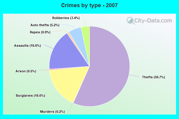 Crimes by type - 2007