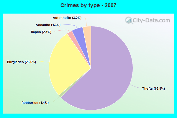 Crimes by type - 2007