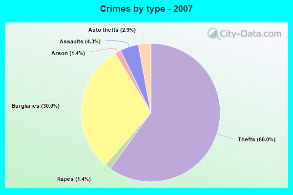 Crimes by type - 2007