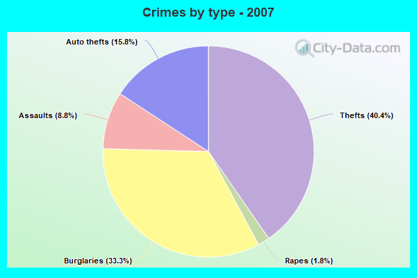 Crimes by type - 2007