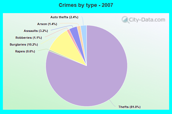 Crimes by type - 2007