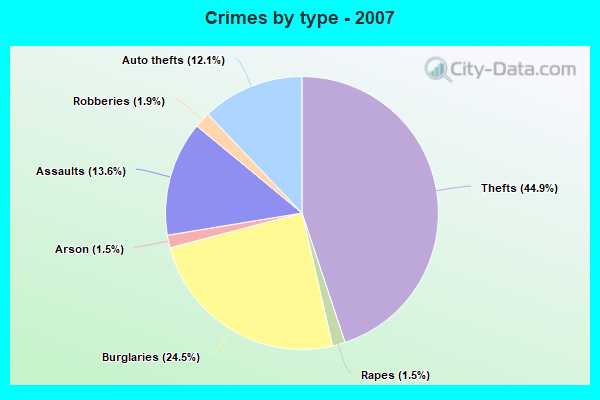 Crimes by type - 2007