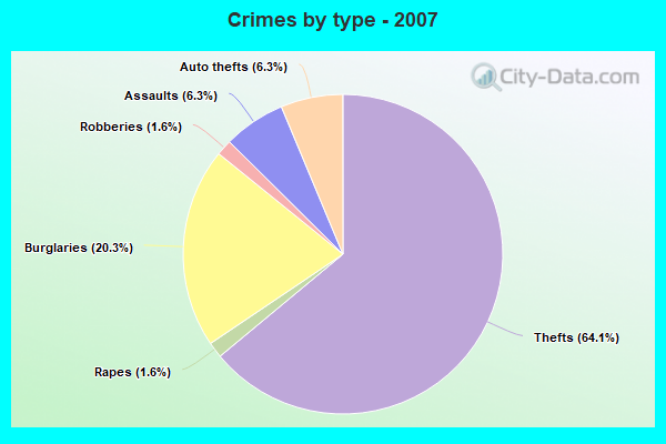 Crimes by type - 2007