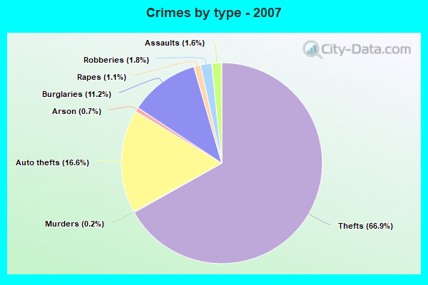 Crimes by type - 2007